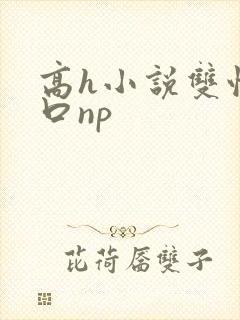 高h小说双性重口np