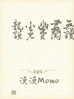 龙小幽君无邪小说免费阅读封面