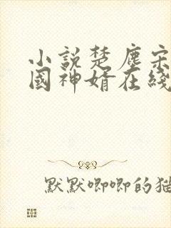 小说楚尘宋颜镇国神婿在线阅读