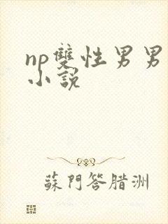 np双性男男h小说