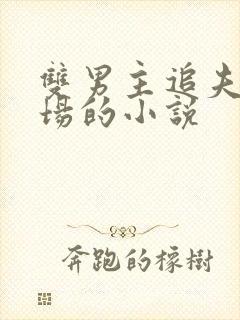 双男主追夫火葬场的小说