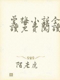 曾梅小说全文阅读免费阅读最新章节封面