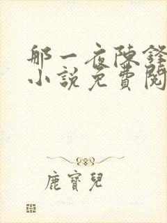 那一夜陈锋羽婷小说免费阅读