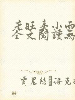 老旺秦小雨小说全文阅读无弹窗