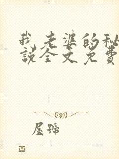 我老婆的秘密小说全文免费阅读