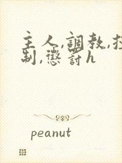 主人,调教,控制,惩罚h