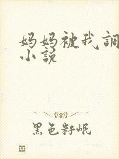 妈妈被我调教的小说