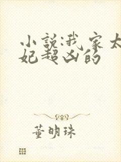 小说:我家太子妃超凶的