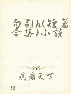 勾引h(短篇肉合集)小说