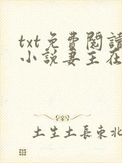 txt免费阅读小说妻主在上封面