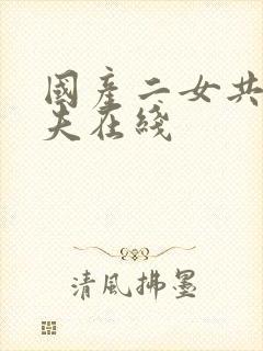 国产二女共侍一夫在线