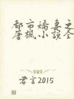 都市娇妻之美女唐枫小说全文阅读封面