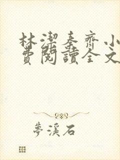 林洁秦齐小说免费阅读全文最新章节