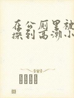 在公厕里被男人操到高潮小说