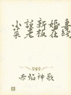 小说新婚妻子与菜老板在线阅读小说