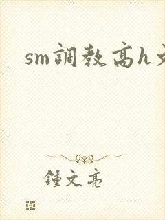 sm调教高h文