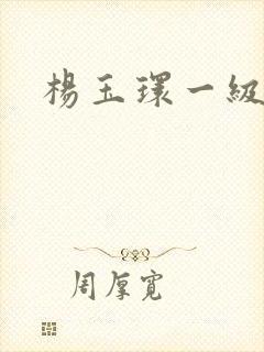 杨玉环一级淫片封面