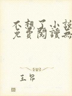 不想了小说全文免费阅读无弹窗封面