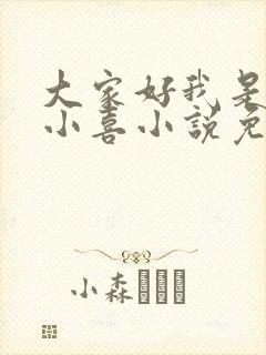 大家好我是叫林小喜小说免费阅读