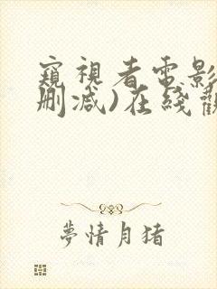 窥视者电影(无删减)在线观看