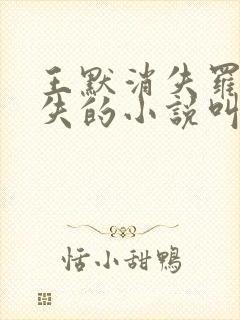 王默消失罗丽消失的小说叫什么