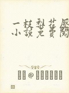 一枝梨花压海棠小说免费阅读封面