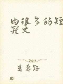 肉很多的短篇甜宠文封面