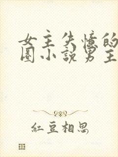 女主失忆的娱乐圈小说男主是影帝