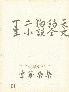 丁二狗的天梯人生小说全文免费阅读