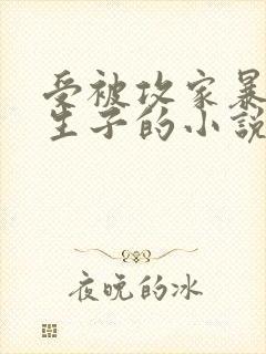 受被攻家暴囚禁生子的小说