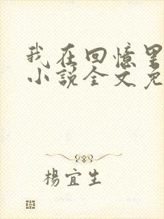 我在回忆里等你小说全文免费阅读