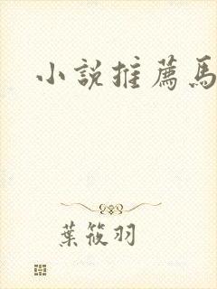小说推荐马甲文