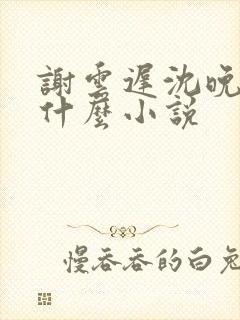 谢云迟沈晚梨是什么小说