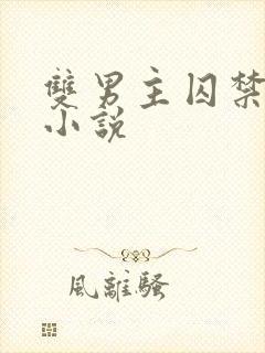 双男主囚禁调教小说