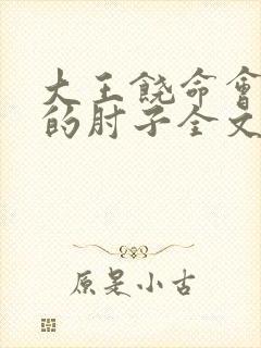 大王饶命会说话的肘子全文封面