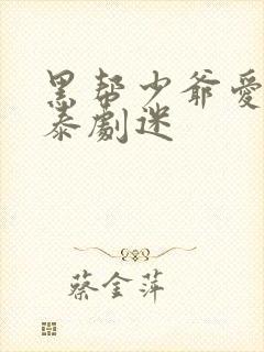 黑帮少爷爱上我泰剧迷