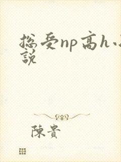 总受np高h小说