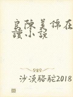 良陈美锦在线阅读小说