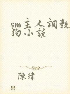 sm主人调教母狗小说封面