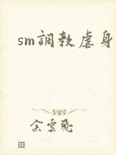 sm调教虐身文封面