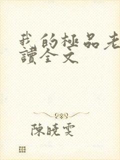 我的极品老婆阅读全文