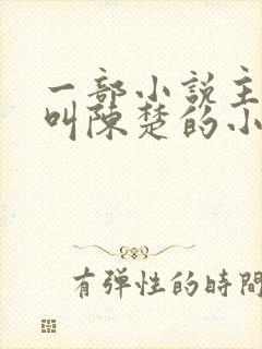 一部小说主人公叫陈楚的小说