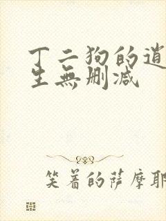 丁二狗的逍遥人生无删减封面