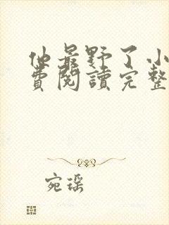 他最野了小说免费阅读完整版