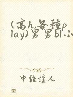(高h,各种play)男男bl小说