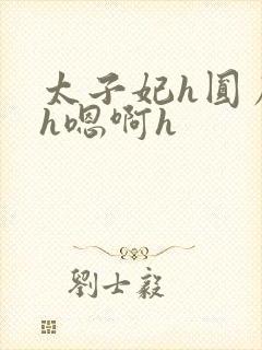 太子妃h圆房～h嗯啊h