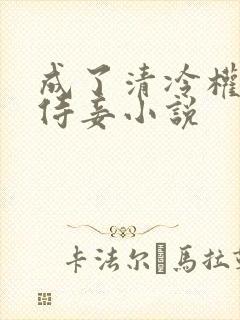 成了清冷权贵的侍妾小说