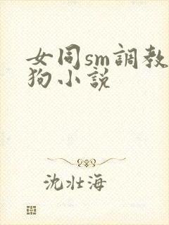 女同sm调教母狗小说