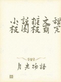 小说推文甜宠文校园校霸完结文