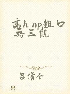 高h np粗口 无三观